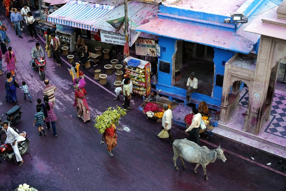 India Travel Photography (15)